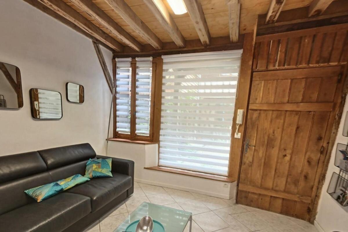 Le scarabée bleu - Appartement cosy dans le bouchon de Troyes - Mon Groom Esterno foto