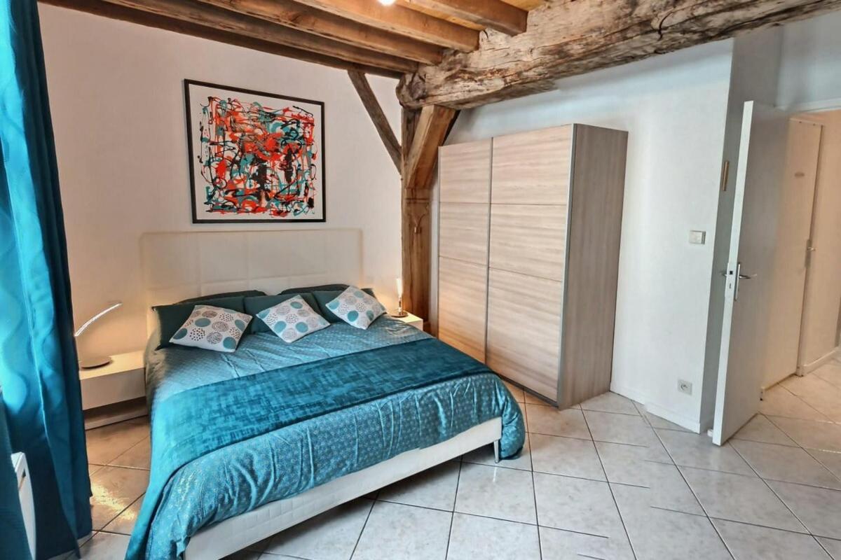 Le scarabée bleu - Appartement cosy dans le bouchon de Troyes - Mon Groom Esterno foto