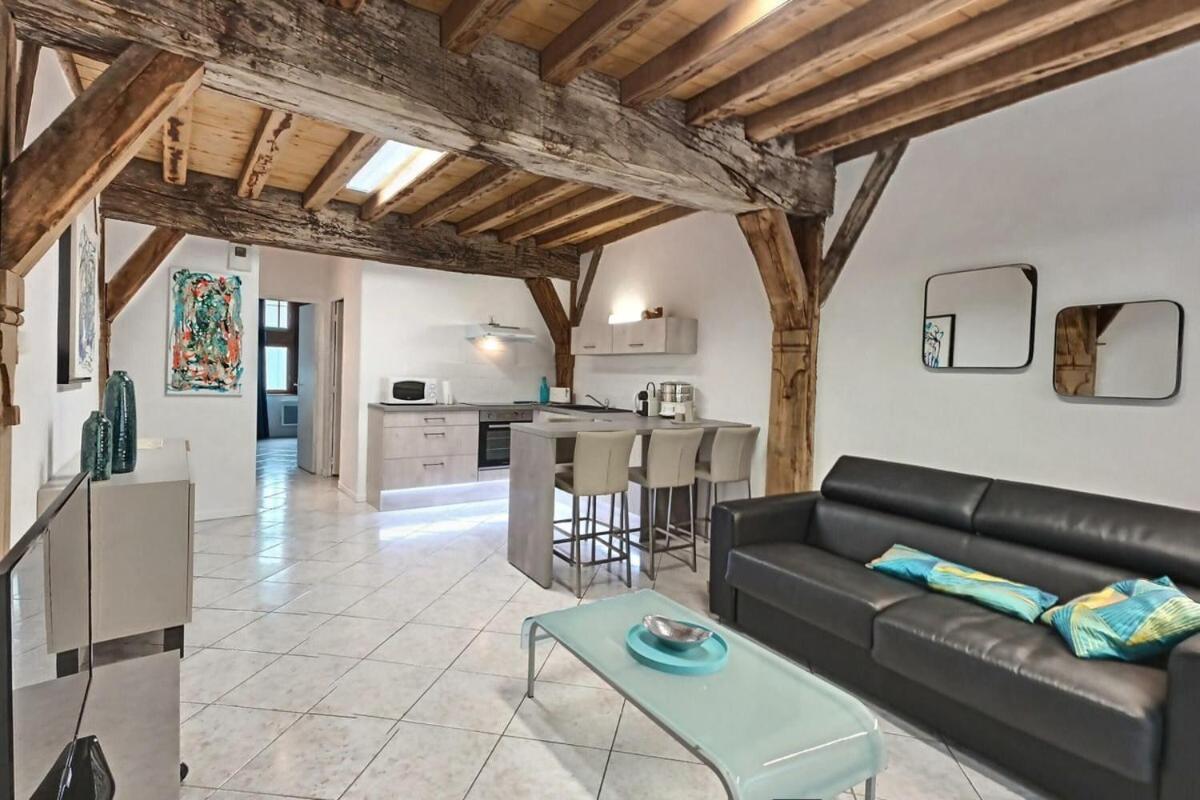 Le scarabée bleu - Appartement cosy dans le bouchon de Troyes - Mon Groom Esterno foto